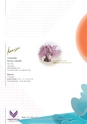 Konishi Paper Art Catalogue