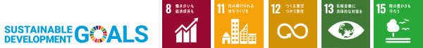 SDGs 8 11 12 13 15